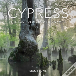 Capa do artigo Cypress