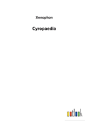 Cyropaedia - Preview