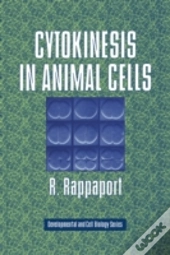 Cytokinesis In Animal Cells
