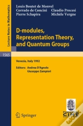 D-Modules, Representation Theory, And Quantum Groups