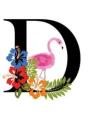 D - Preview