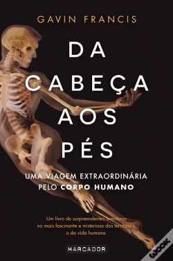 Capa do artigo Da Cabeça aos Pés