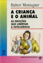 Da Narrativa Medieval ao Conto do Romantismo - Preview