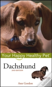 Dachshund