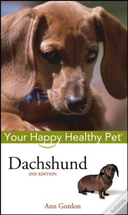 Capa do artigo Dachshund