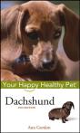Dachshund - Preview
