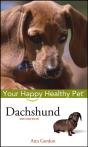Dachshund - Preview