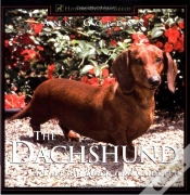 Capa do artigo Dachshund