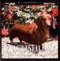 Dachshund - Preview