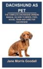 Dachshund As Pet - Preview