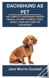 Dachshund As Pet