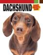 Dachshund - Preview