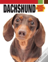 Dachshund