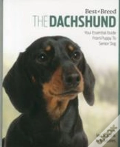 Capa do artigo Dachshund