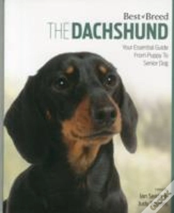 Capa do artigo Dachshund