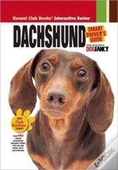 Dachshund