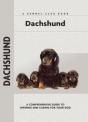 Dachshund - Preview
