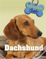 Dachshund