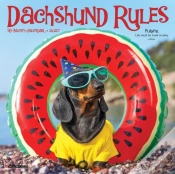 Capa do artigo Dachshund Rules 2027 Mini
