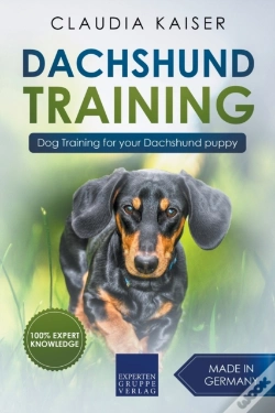 Capa do artigo Dachshund Training: Dog Training For You