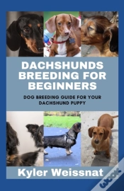 Capa do artigo Dachshunds Breeding For Beginners