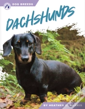 Capa do artigo Dachshunds