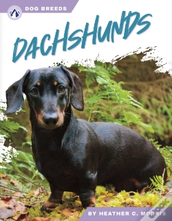Capa do artigo Dachshunds