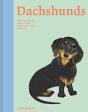 Dachshunds - Preview