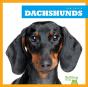 Dachshunds - Preview