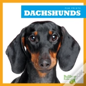 Capa do artigo Dachshunds