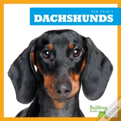 Capa do artigo Dachshunds