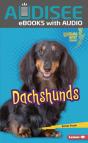 Dachshunds - Preview