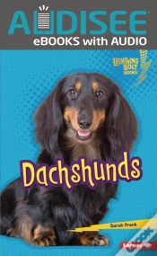 Capa do artigo Dachshunds