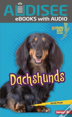 Capa do artigo Dachshunds