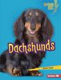 Dachshunds - Preview