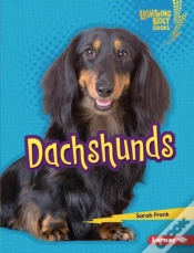 Capa do artigo Dachshunds