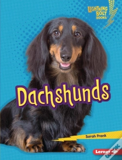 Capa do artigo Dachshunds