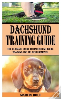 Capa do artigo Dachunshund Training Guide