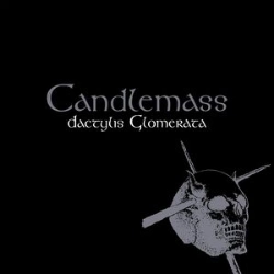 Capa do artigo Dactylis Glomerata (2026 Master) - CD