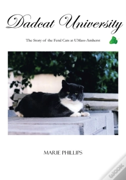 Capa do artigo Dadcat University