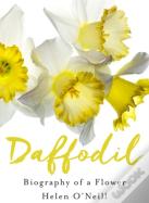 Daffodil