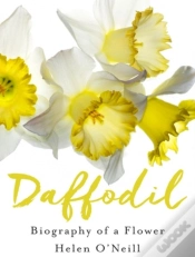 Capa do artigo Daffodil