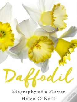 Capa do artigo Daffodil