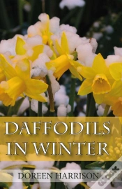 Capa do artigo Daffodils In Winter