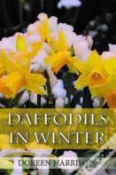 Daffodils In Winter