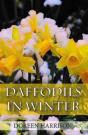 Daffodils In Winter - Preview