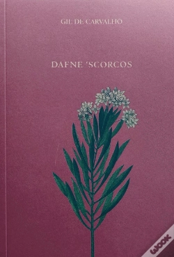 Capa do artigo Dafne Scorcos