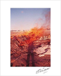 Daido Moriyama In Color: Self-Portrait - Preview