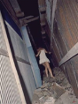 Daido Moriyama - Remix - Preview