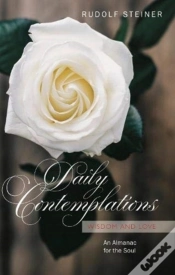 Capa do artigo Daily Contemplations